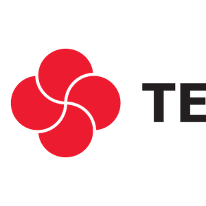Company icon