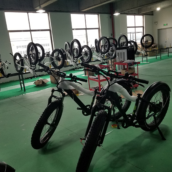 Zhejiang Hangpai Electric Technology Co., Ltd. Fat Tire Electric Bike