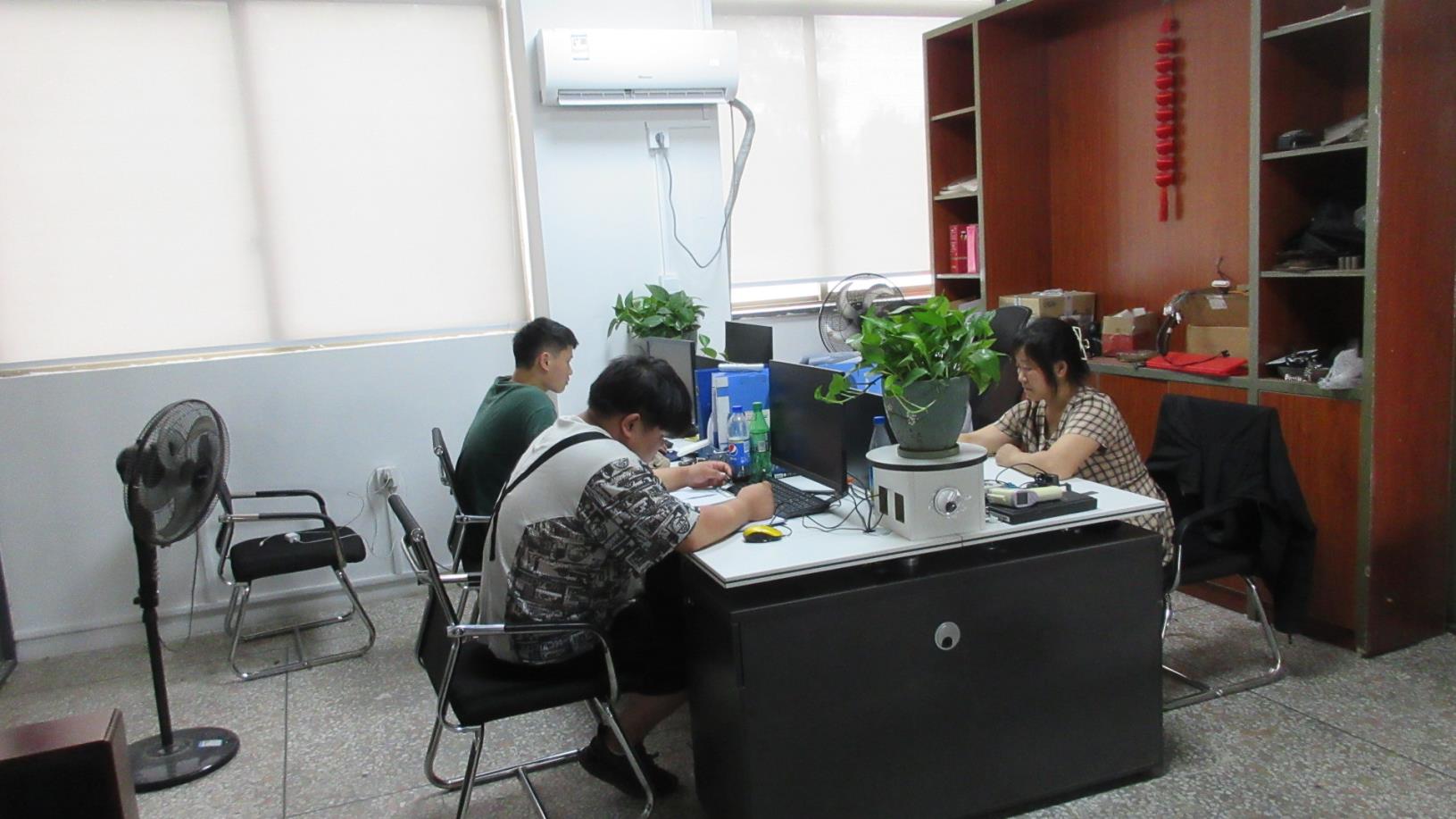 Zhejiang Dayi Industrial Co., Ltd. Citycoco
