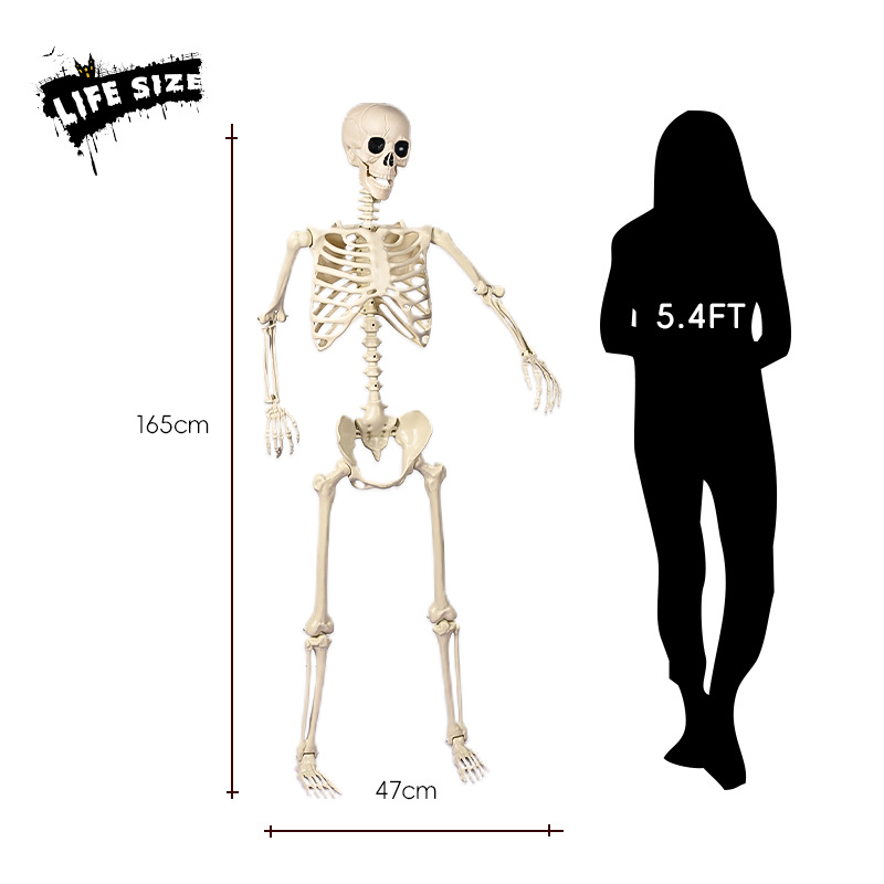 YIWU HUIQUAN GARMENT CO.,LTD. 165cm/90cm/40cm skeleton hanging halloween life size Decoration Haunted House Movable party novelties