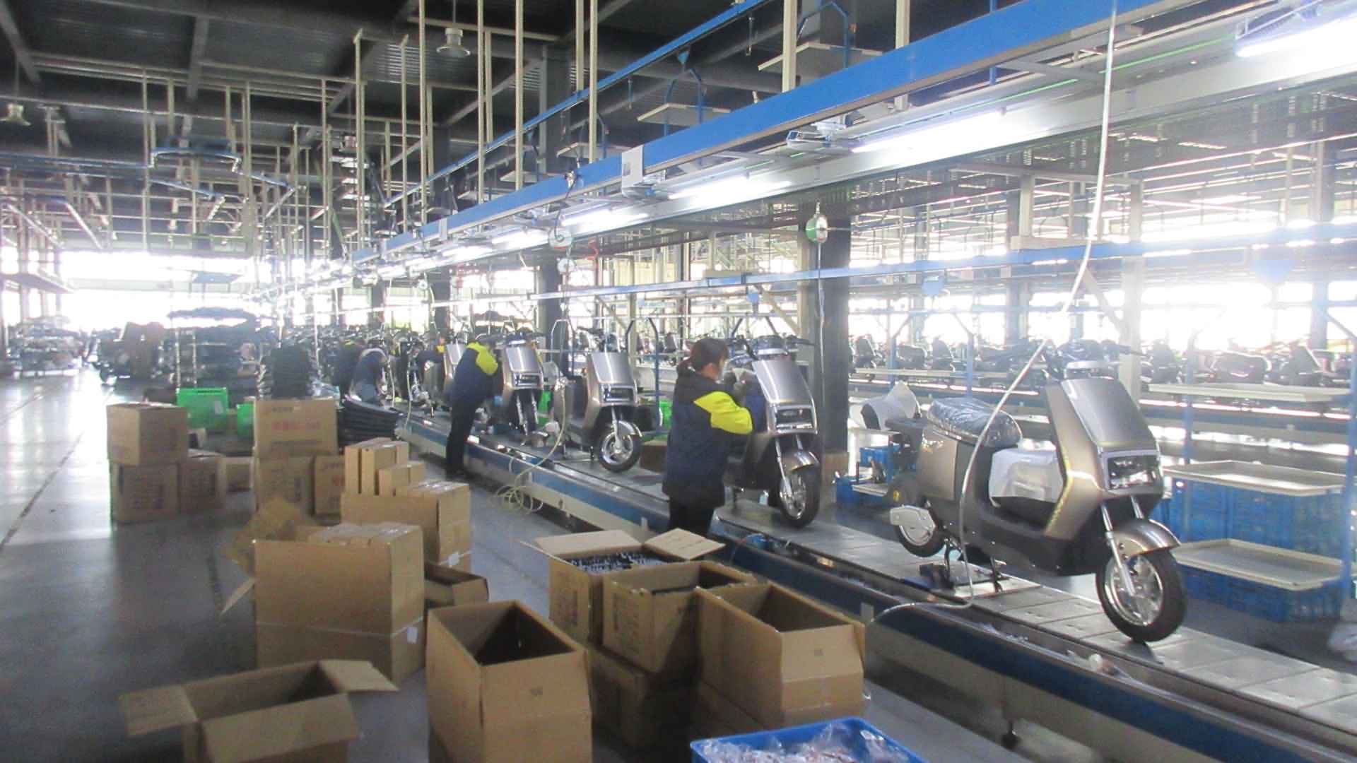 Zhejiang Telaiweishi Electromobile Manufacturing Co., Ltd. Electric Scooter