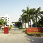 Guangzhou Auto Spring Co., Ltd. Torsion Springs