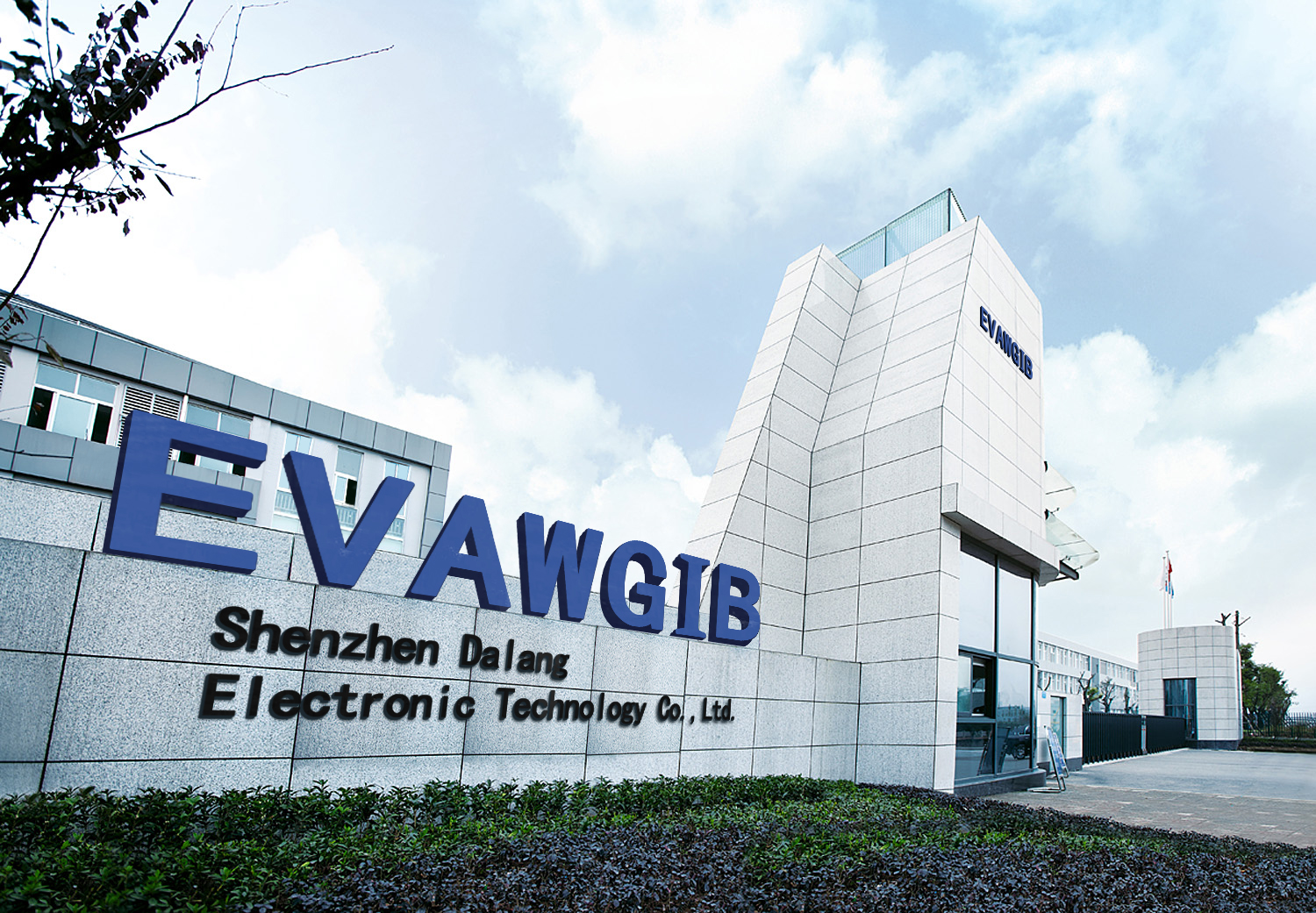 Shenzhen Dalang Electronic Technology Co., Ltd. factory image 1