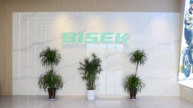Changzhou Bisek Cycle Co., Ltd. Folding Electric Bike