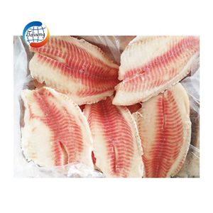 HACCP Approved Best Quality Of Frozen IQF Bulk Tilapia Fillet Fish With Skinless & Boneless Fillet