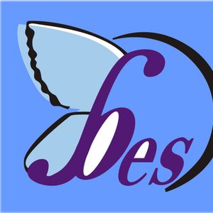 Company icon