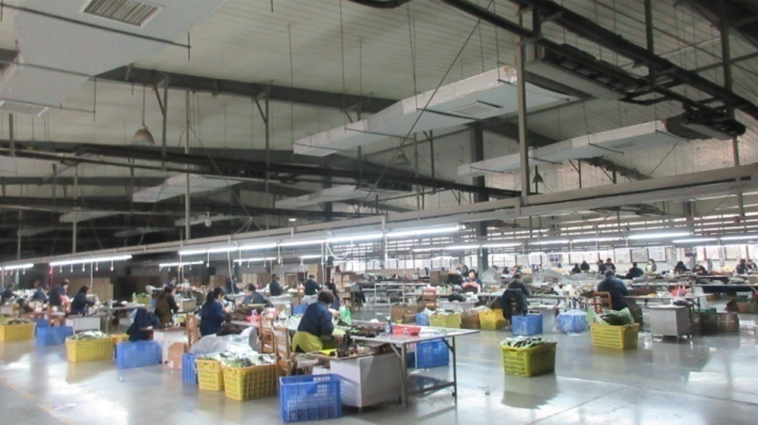Henan Ruimei Hair Products Co., Ltd. hair extensions