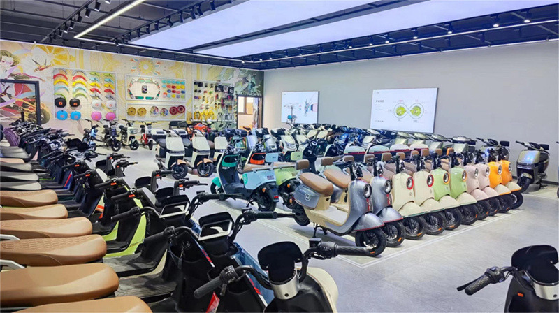 Jiangsu Lvneng Electrical Bicycle Technology Co., Ltd. Electric Motorcycle