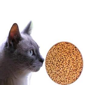 factory specializes in the production of cat food with high protein natural raw materials