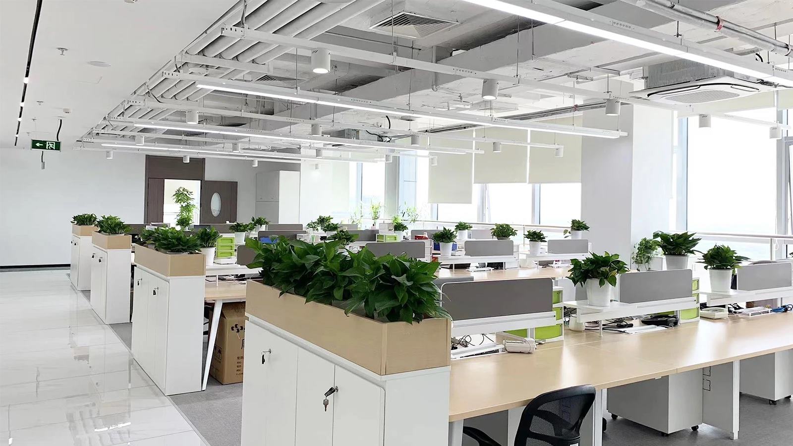 Health&Beyond Health Technology (Suzhou) Co., Ltd. shampoo