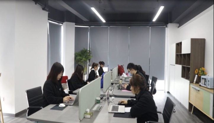 Anji Ruibao Furniture Co., Ltd. Ergonomic Chair