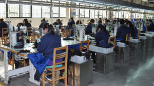 Hangzhou Bilifu Technology Co., Ltd. Human Hair Wigs
