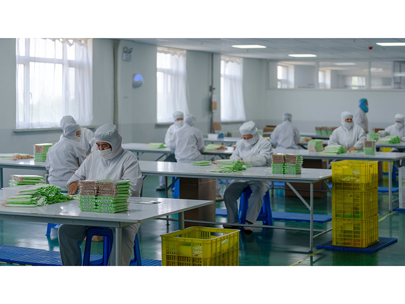 Dalian P. & W. Industrial Co., Ltd. wooden forks