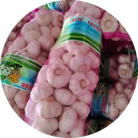 g1 garlic seed Chinese garlic suppliers with cheap price raw garlic for sale