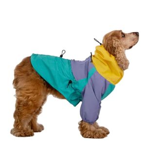 Customized Complete Set or Without Pants Tropical Shell Pattern for Dog Raincoat.pet clothes