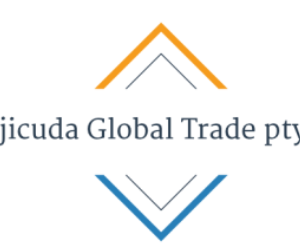 Company icon