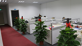 Foshan Duoyilai Trading Co., Ltd. Foundation Makeup