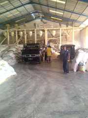 PT Agro Wijaya Palm Kernel Shells