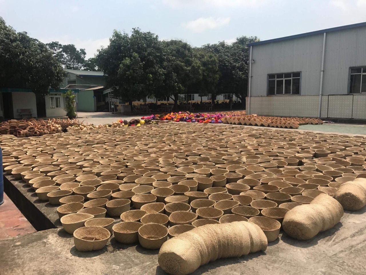 Tien Phong Vietnam Development Company Limited Bamboo Pendant Lights