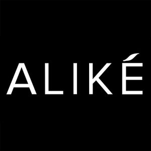 Company icon