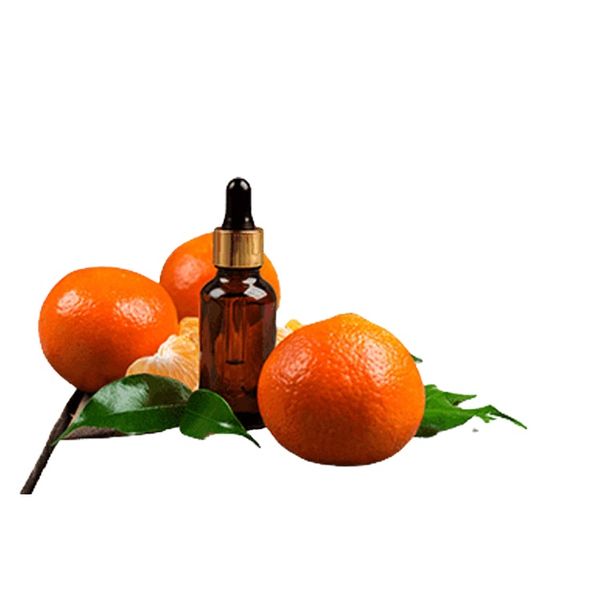 Trusted Bulk Manufacturer Supply 100% Pure And Organic Citrus Peel Extract Essential Oil at Good Price
