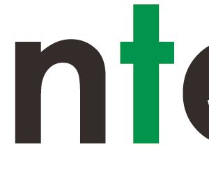 Company icon