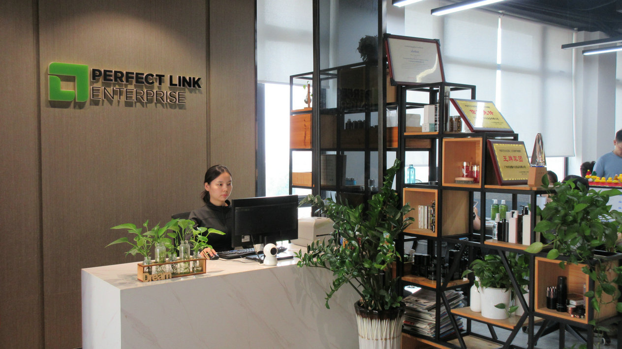 Guangzhou Perfect Link Cosmetic Co., Ltd. Hair Conditioner