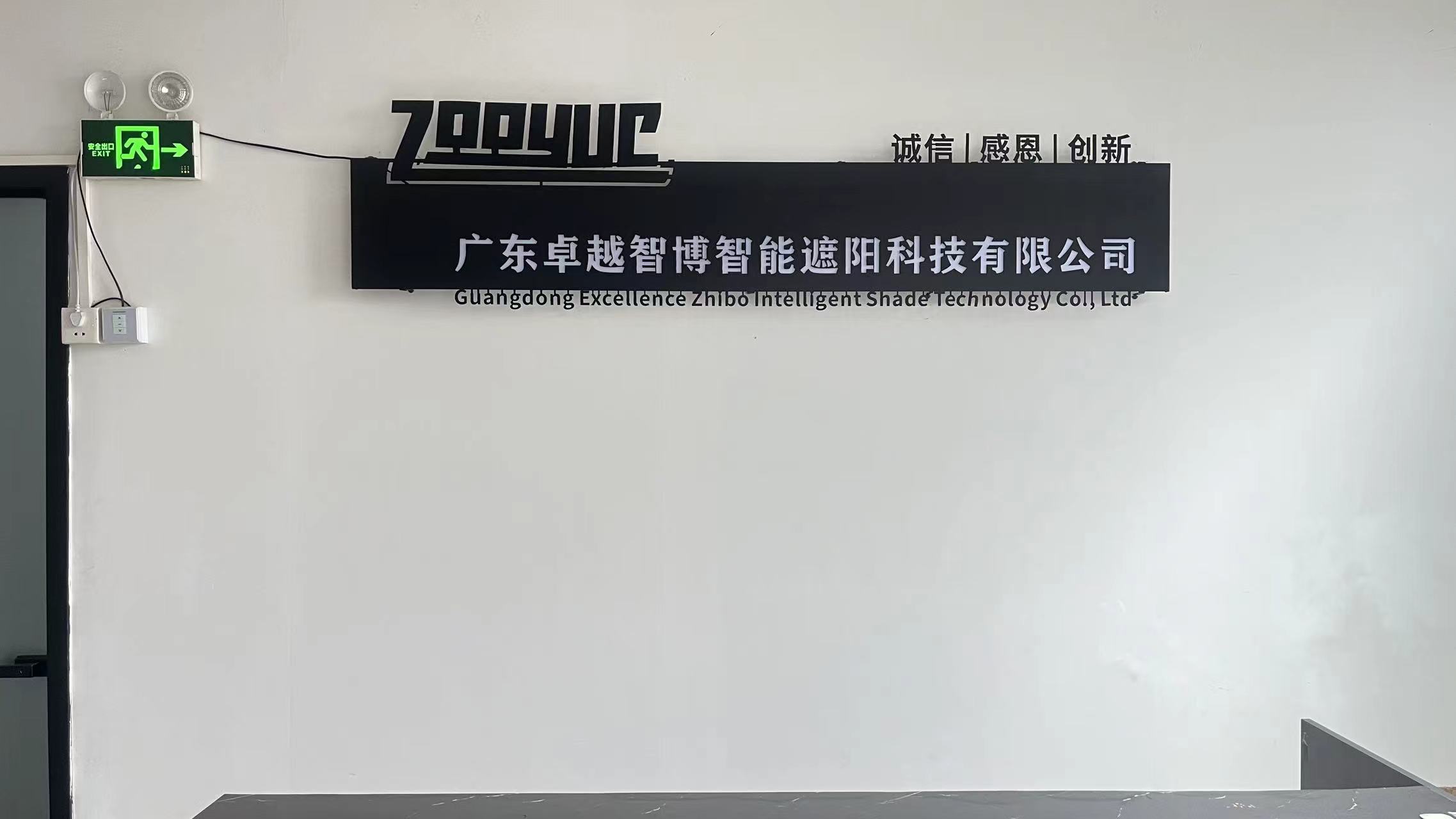 Guangdong Zhuoyue Zhibo Intelligent Sunshade Technology Co., Ltd. Motorized Roller Shades