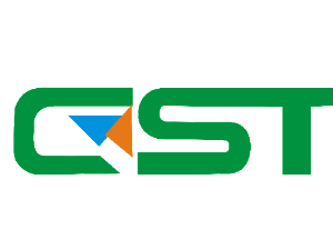 Company icon
