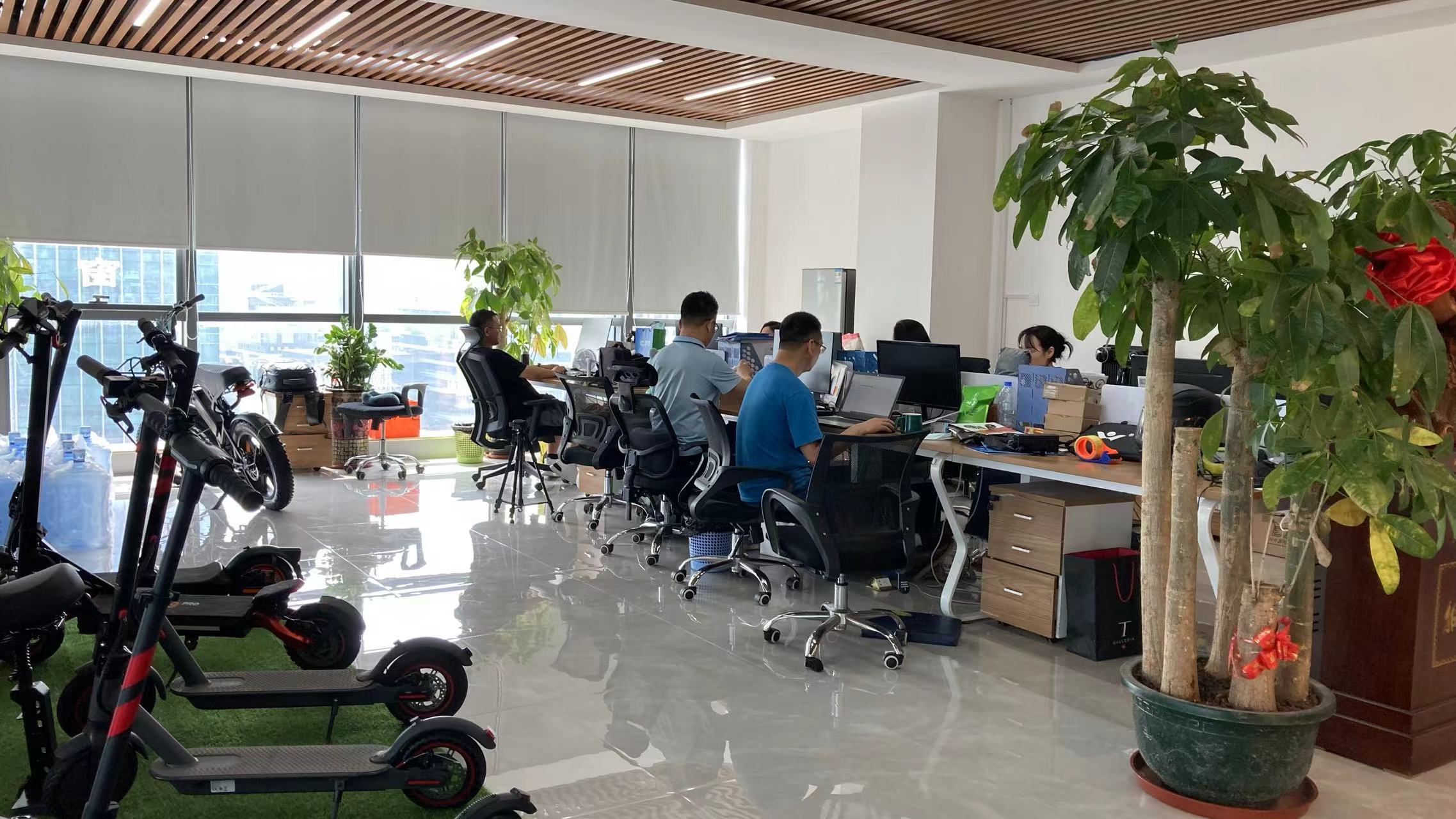 Shenzhen Qingmai Bicycle Co., Ltd. Fat Tire E-bike