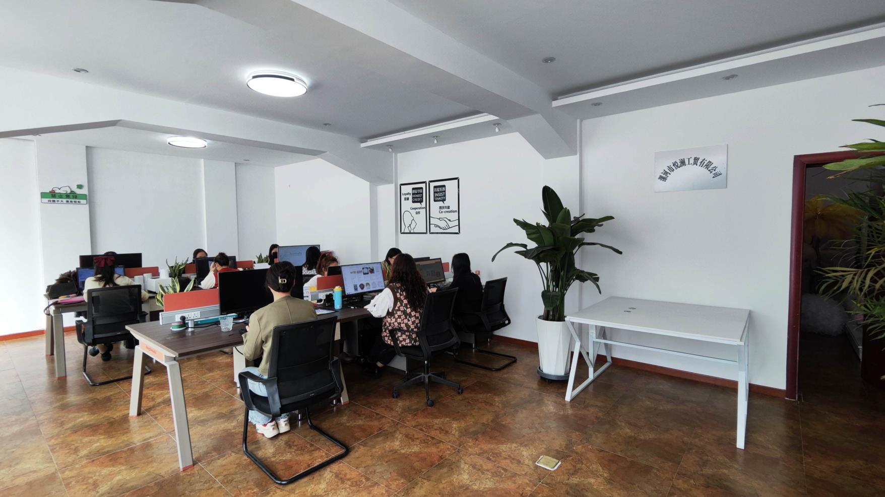 Luohe Yolan Industry and Trade Co., Ltd. factory image 5