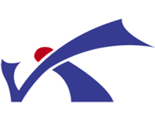 Company icon