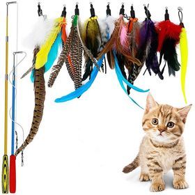 12 pcs Retractable Feather Teaser and Exerciser for Cat and Kitten  Cat Toy Interactive Cat Wand