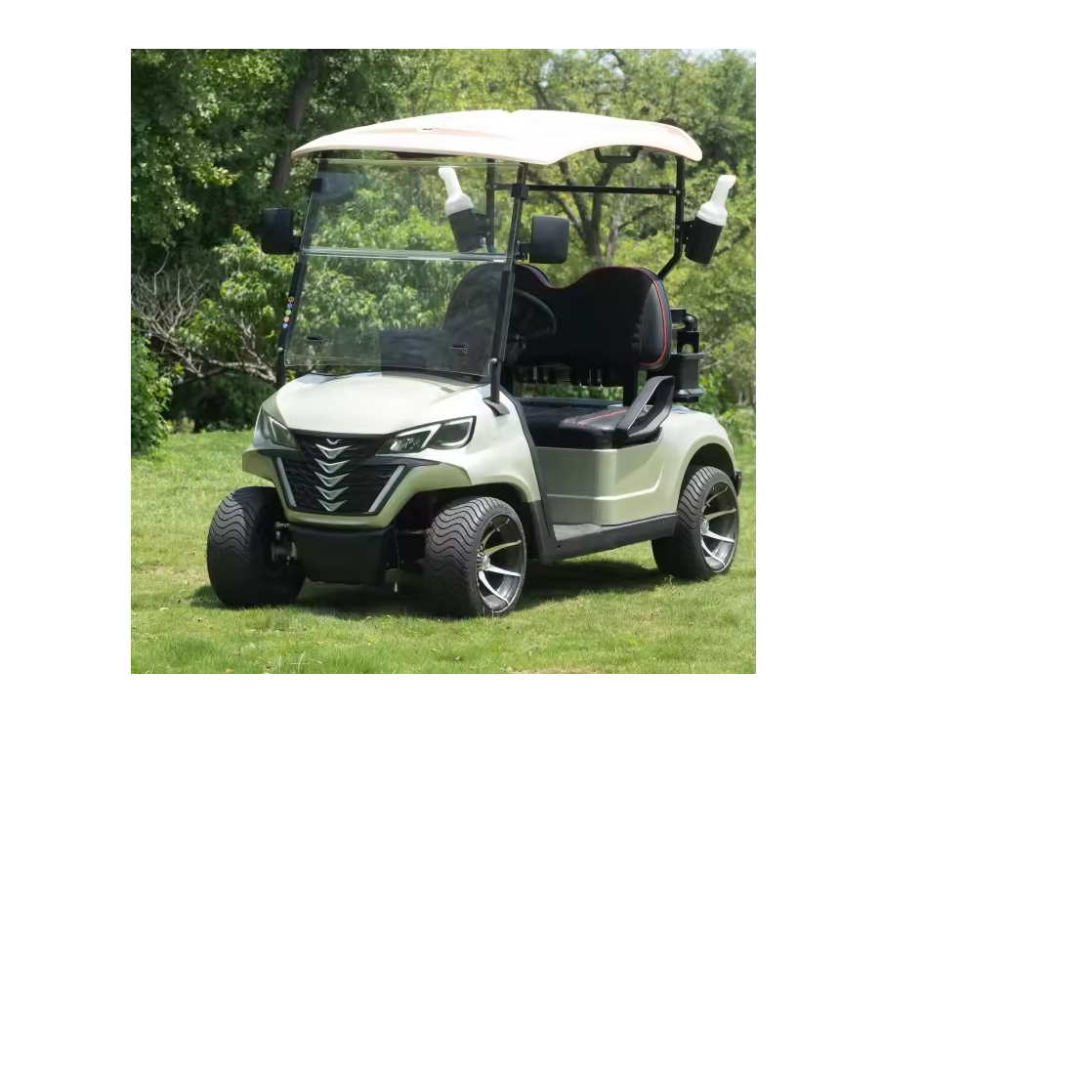 Discount sales for High Performance Electric Golf Cart Hunting 4+2 Seats FORGE-G4+2 Available For Sale