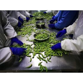 China Wholesales  Frozen Bulk Edamame Beans edamame