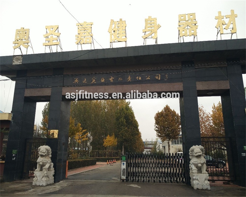 Dezhou Aoshengjia Fitness Equipment Co., Ltd. Cardio Machine