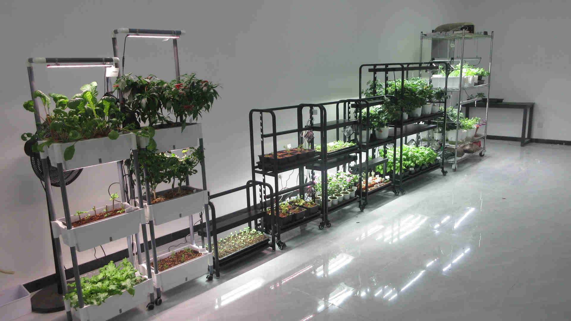 Shenzhen Sunled Lighting Co., Ltd. T5 Grow Light