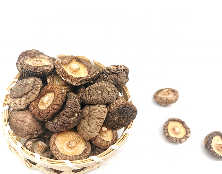 High Quality Dried Shitake Mushroom 3cm Is Organic Dried Food Wholesale Price