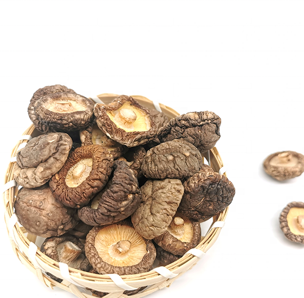High Quality Dried Shitake Mushroom 3cm Is Organic Dried Food Wholesale Price