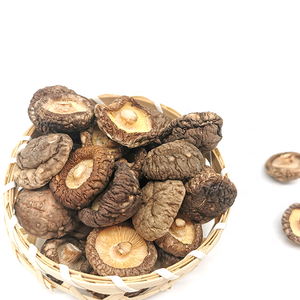High Quality Dried Shitake Mushroom 3cm Is Organic Dried Food Wholesale Price