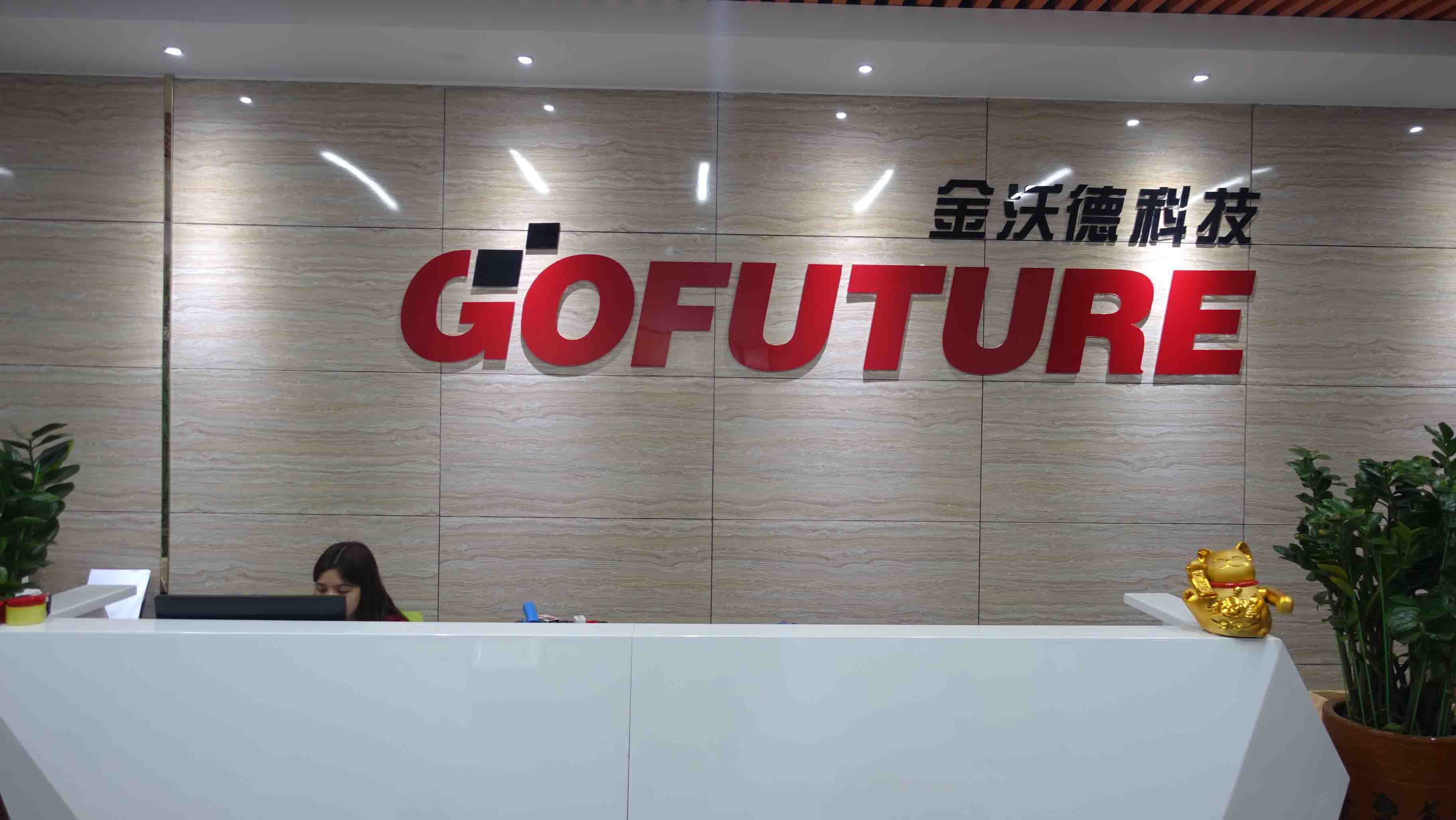 Shenzhen Gofuture Technology Co., Ltd. Car DVR