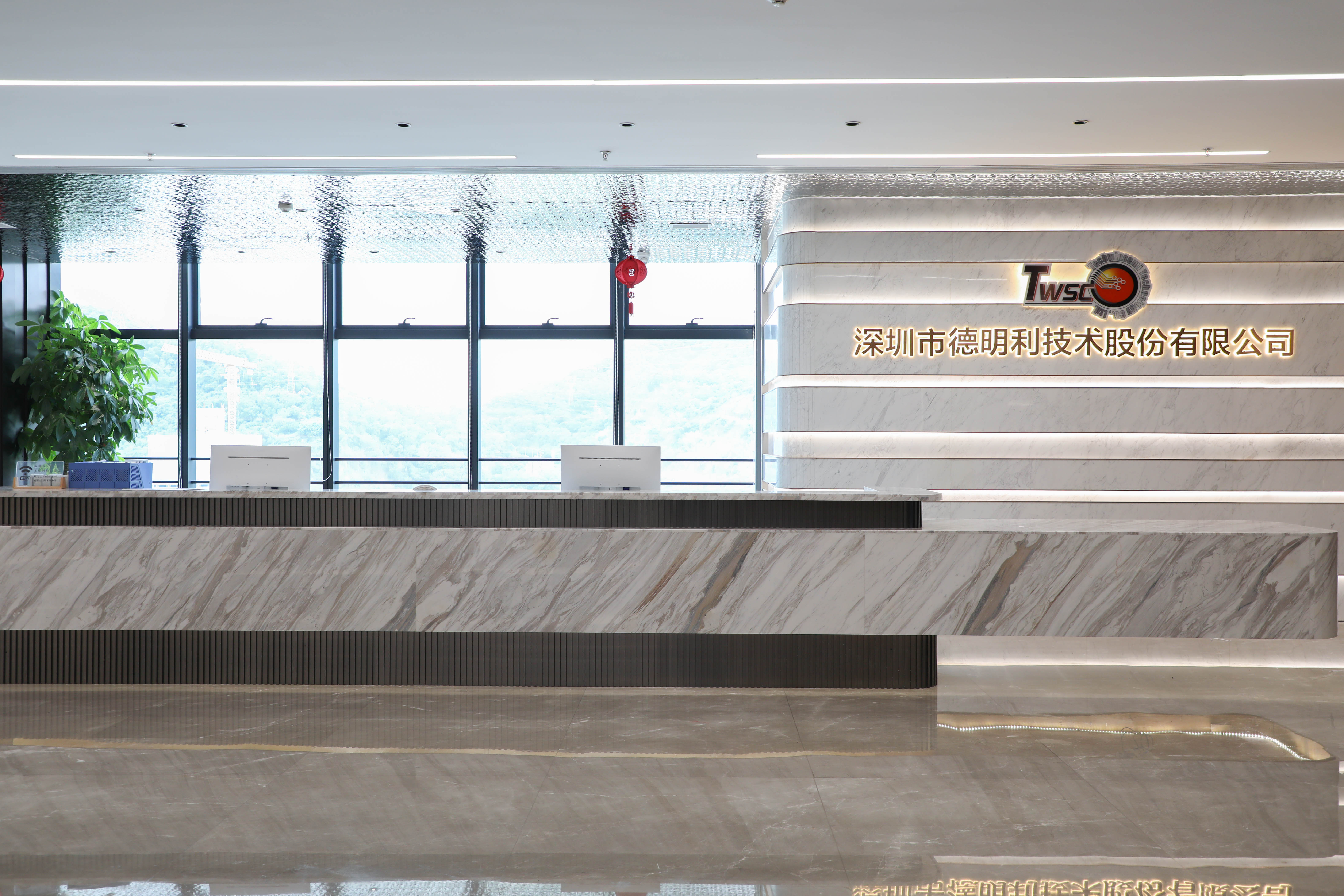 Shenzhen Techwinsemi Technology Co., Ltd. SSD