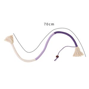 Fashion Candy Colors Cat Scratch Rope Quiet and Soft Cat Interactive Toy Hanging Gall Fruit Cat Nip Toy