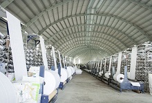 SAPPHIRE PACKAGING CO., LTD PP Non-Woven Shopping Bags