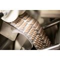 Nutritional Supplement Encapsulation Services