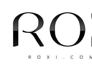 Company icon