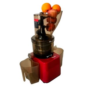 commercial cold press squeezer extractor machine for pure juice juicer dates oranges grapes apples pomegranates fruit vegetables