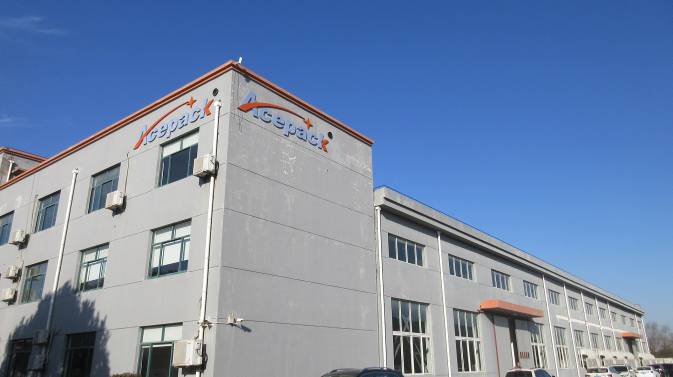 Shanghai Acepack Intelligent Technology Co., Ltd. Horizontal Packing Machine