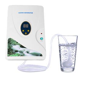 Household ozone generator for car Disinfection Machine Food Sterilization Fruit and Vegetable Purifier ozone box