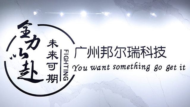Guangzhou Bangerui Technology Co., Ltd. Security Paper